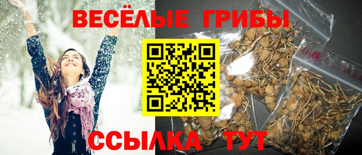 Псилоцибиновые грибы ЛСД  цена наркотик  Туймазы  Вход с VPN  Псилоцибиновые грибы Magic Shrooms 